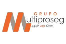 LOGO MULTIPROSEG