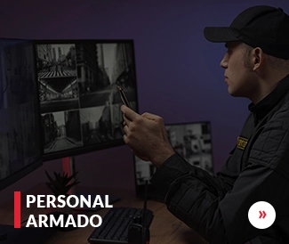 Seguridad privada AMESP custodia de bienes y servicios